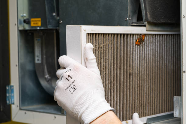 Best HVAC System Cleaning  in Crainvle, IL