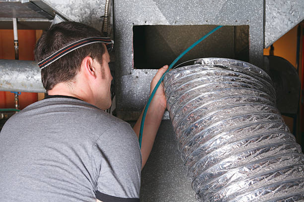 Best Local Air Duct Cleaning Services  in Crainvle, IL