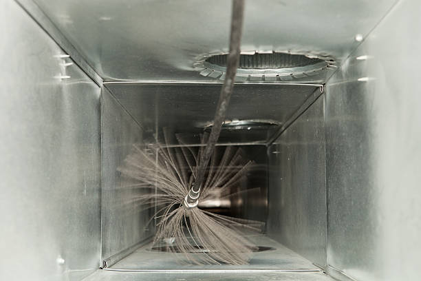 Best Ductwork Cleaning Services  in Crainvle, IL